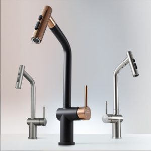 BN1.0 Faucet